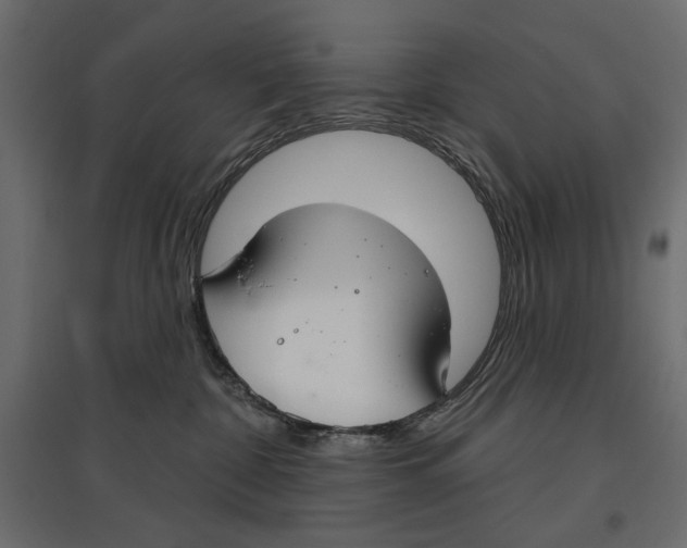 X0000096970332200803071012