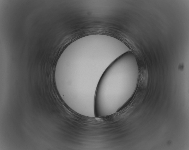 X0000096970333200803071012