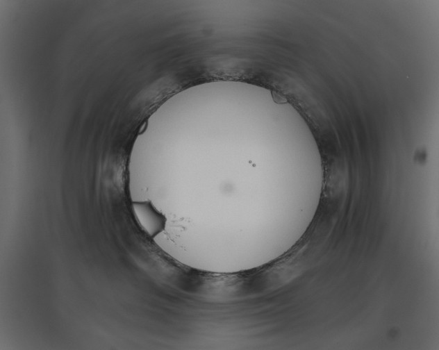 X0000096970334200803071012