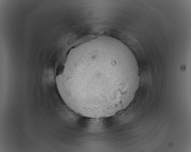 X0000096970335200803071012