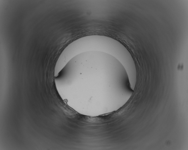 X0000096970336200803071012