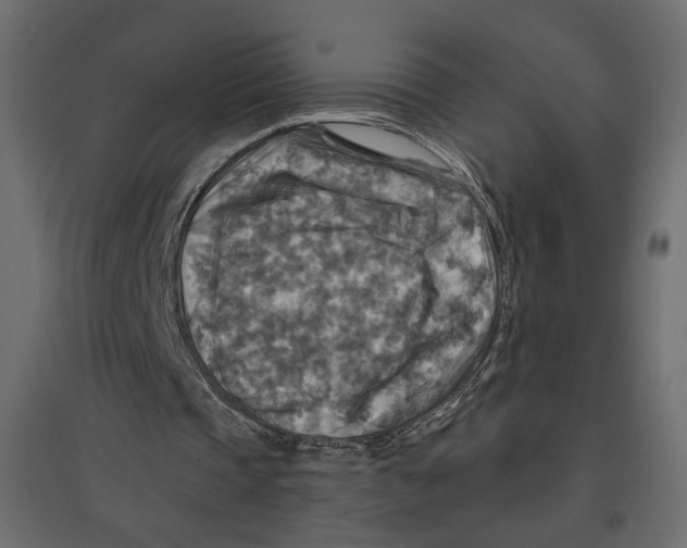 X0000096970337200803071011