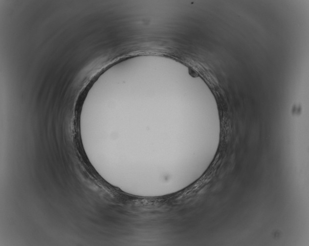 X0000096970338200803071011
