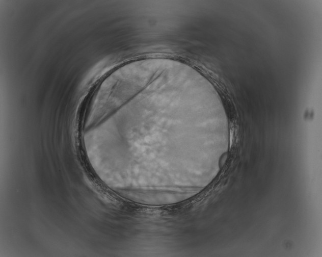 X0000096970339200803071011
