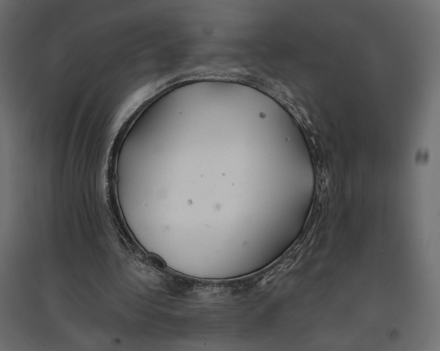 X0000096970340200803071011