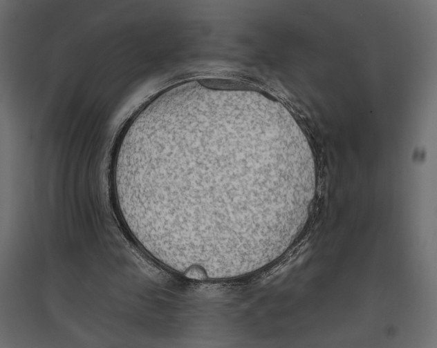 X0000096970341200803071011