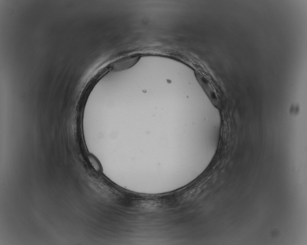 X0000096970344200803071011