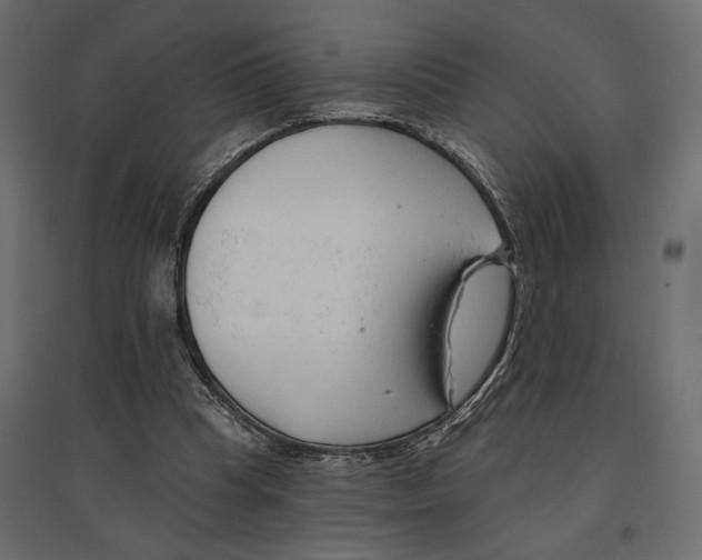 X0000096970345200803071011