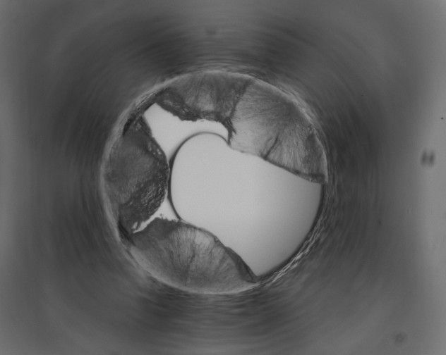 X0000096970346200803071011