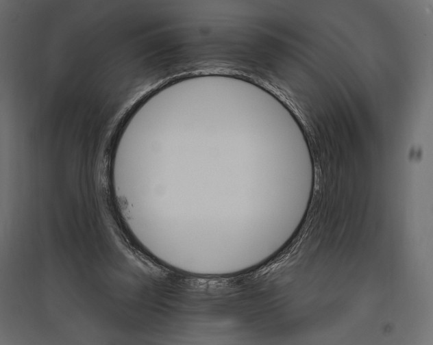 X0000096970347200803071011
