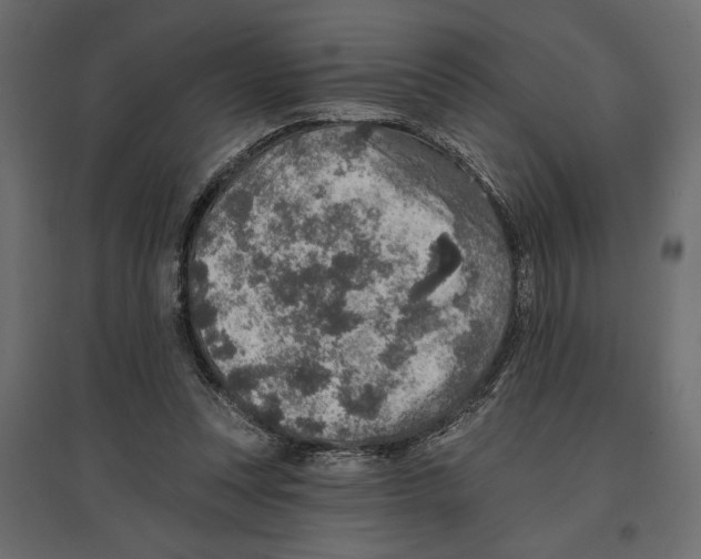 X0000096970351200803071011
