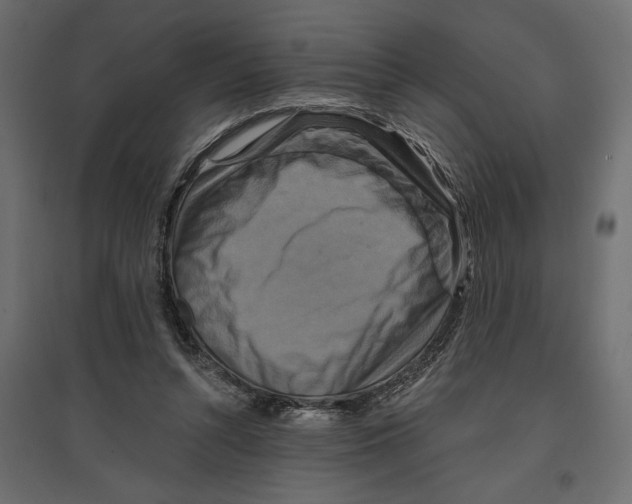 X0000096970352200803071011