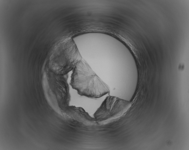 X0000096970353200803071011
