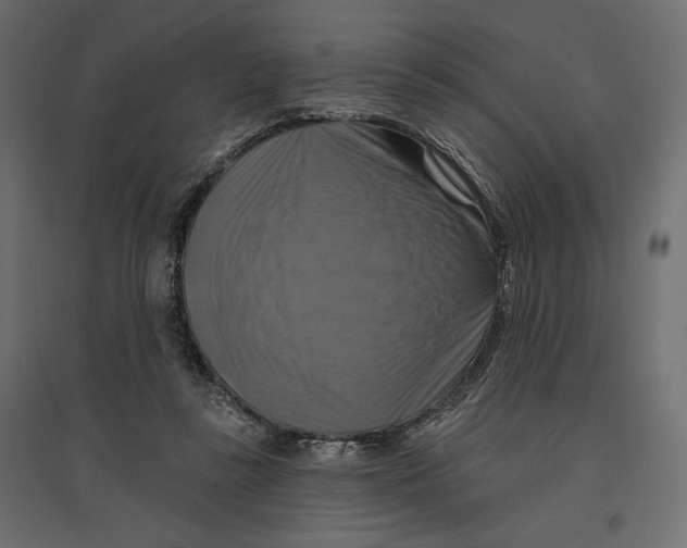 X0000096970355200803071011