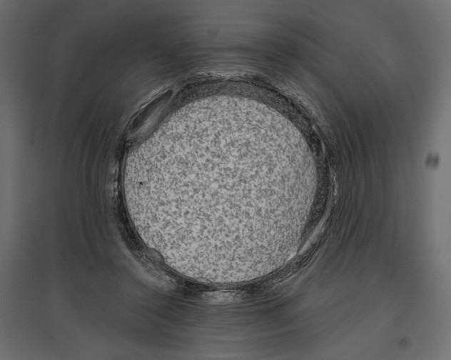 X0000096970356200803071011