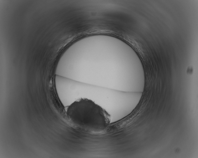 X0000096970358200803071011