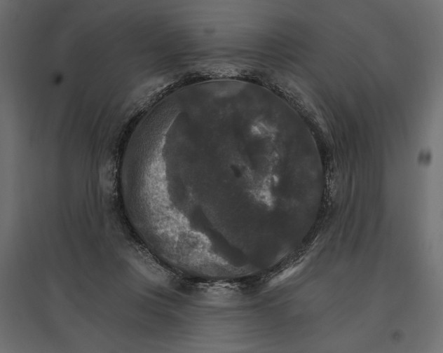 X0000096970359200803071012
