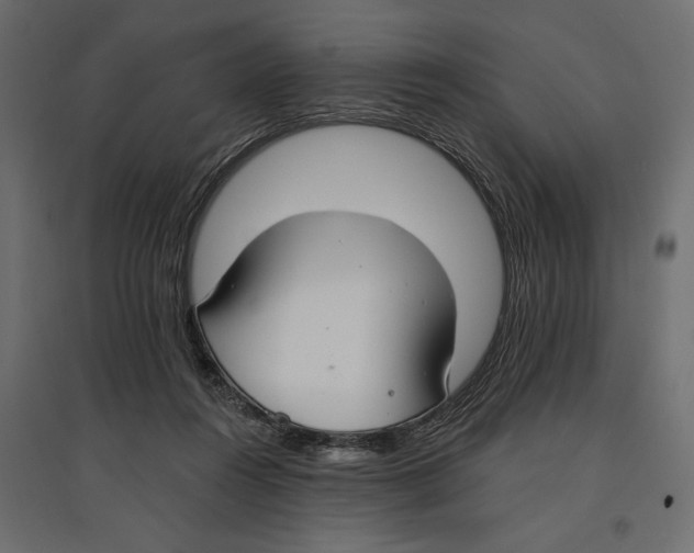 X0000096970360200803071012