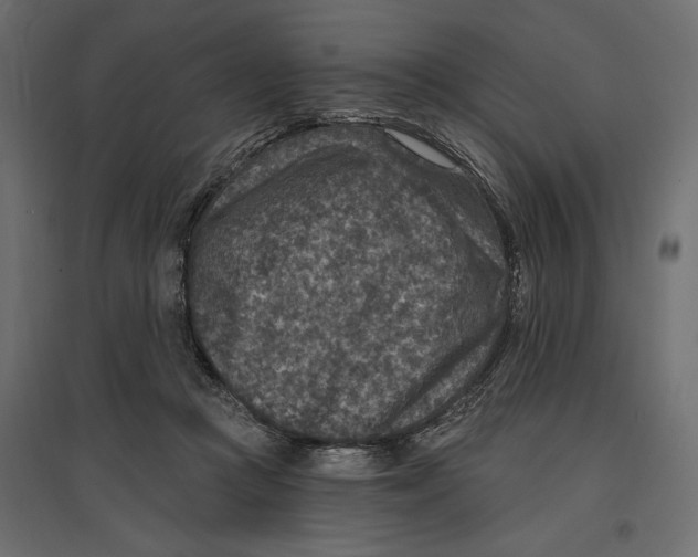 X0000096970361200803071012