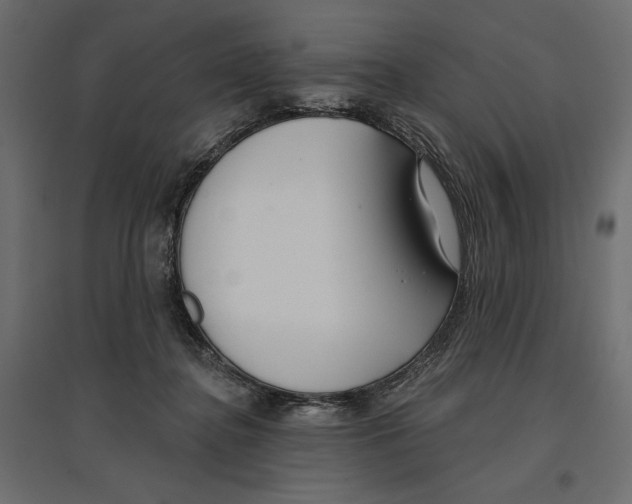 X0000096970364200803071012