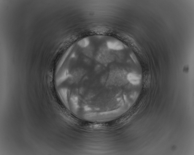 X0000096970365200803071012
