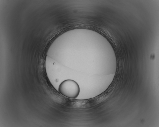 X0000096970366200803071012