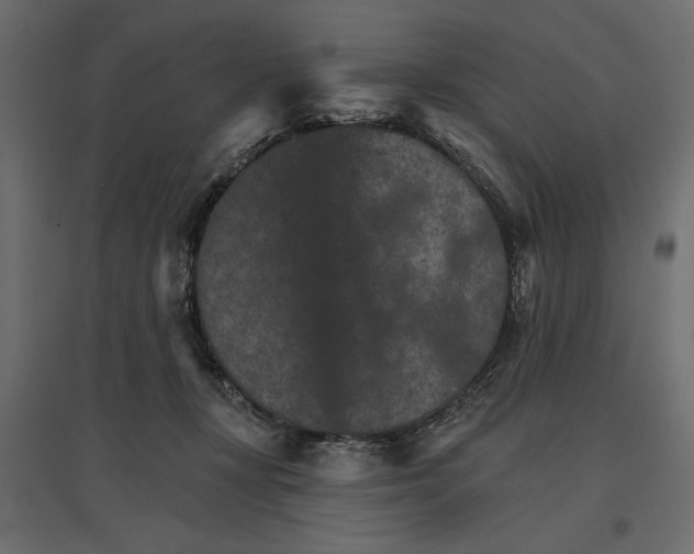 X0000096970367200803071012
