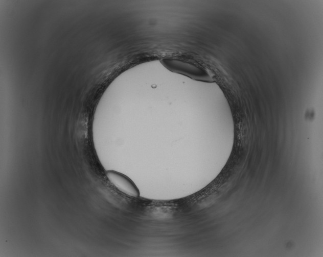 X0000096970368200803071012