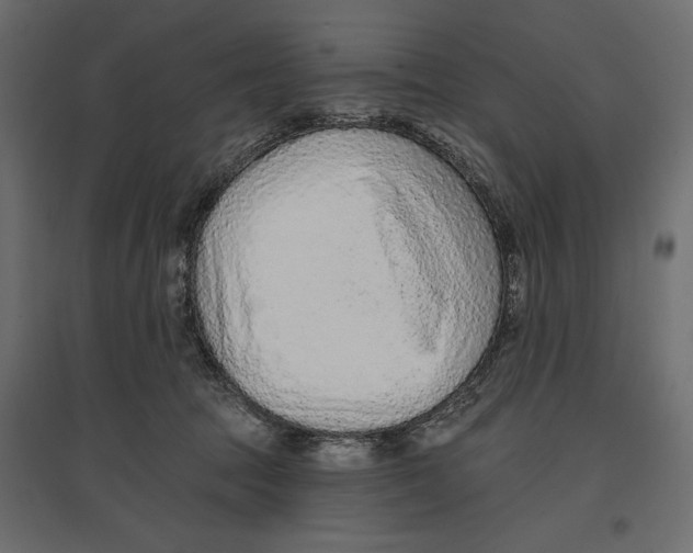 X0000096970369200803071012
