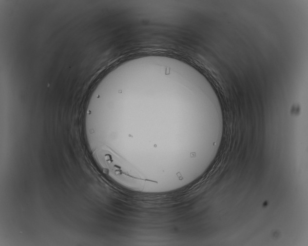 X0000096970370200803071012