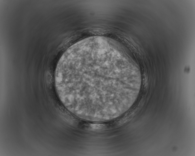 X0000096970371200803071012