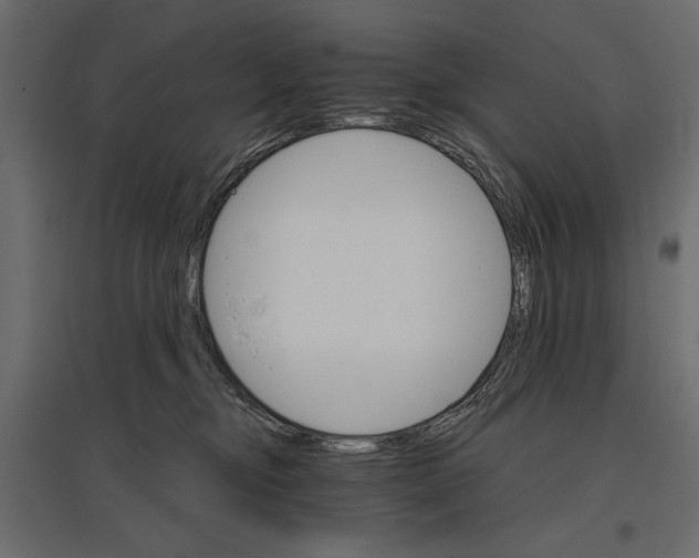 X0000096970374200803071012