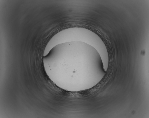 X0000096970376200803071012