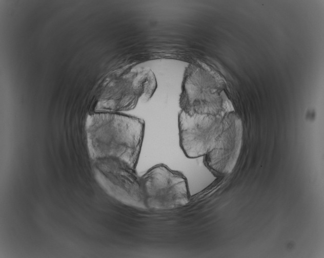 X0000096970377200803071012