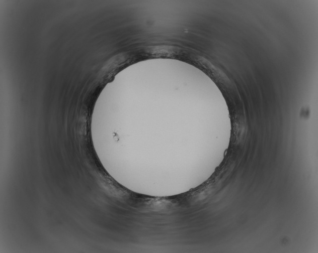 X0000096970379200803071012