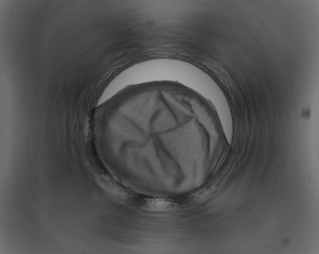 X0000096970380200803071012