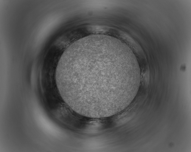 X0000096970381200803071012