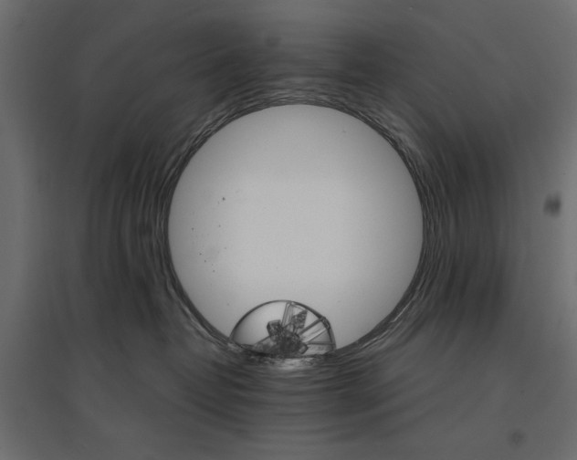 X0000096970382200803071012