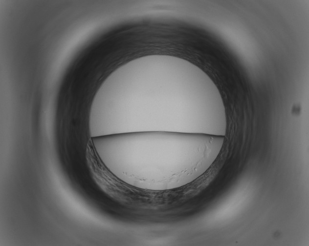 X0000096970383200803071012