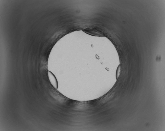 X0000096970384200803071012