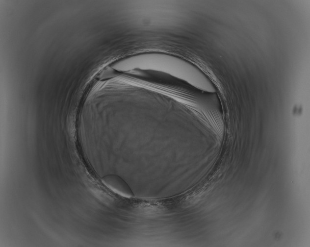 X0000096970386200803071011