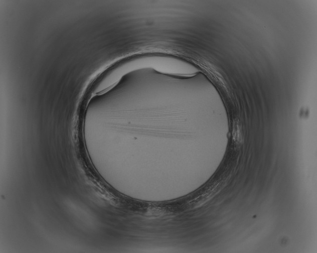 X0000096970388200803071011