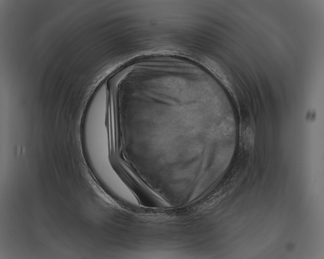 X0000096970389200803071011