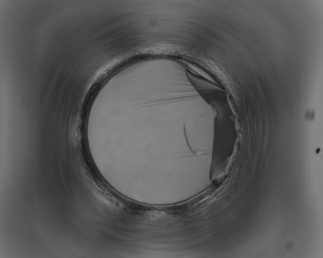 X0000096970392200803071011