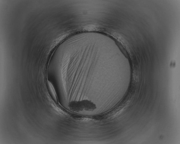 X0000096970393200803071011