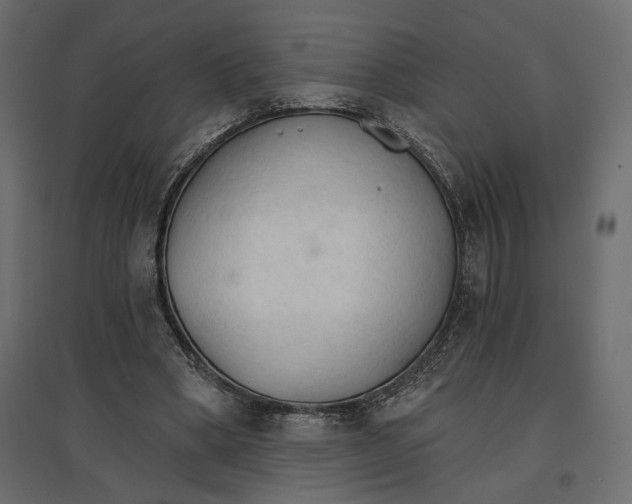 X0000096970394200803071011