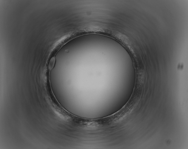 X0000096970395200803071011