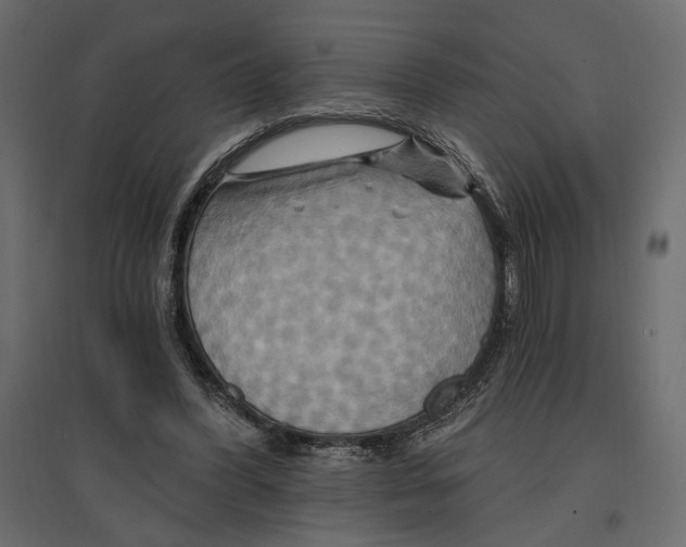 X0000096970396200803071011