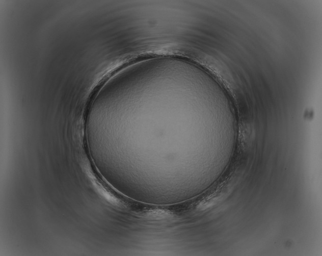 X0000096970397200803071011