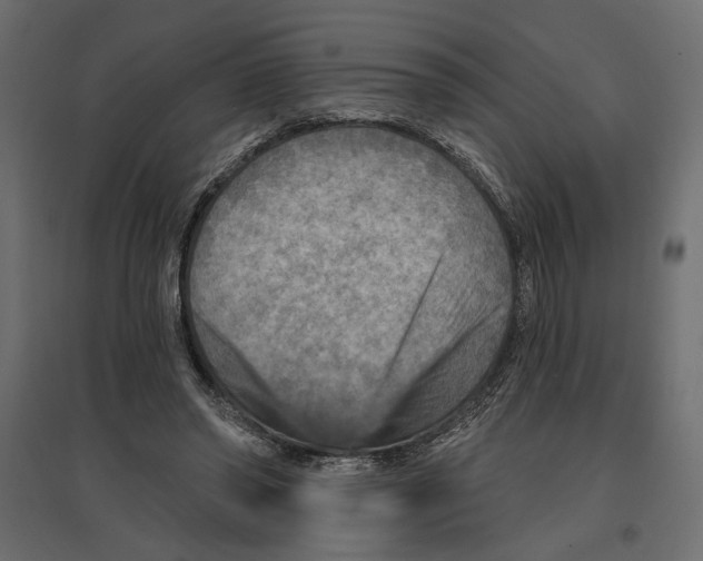 X0000096970398200803071011